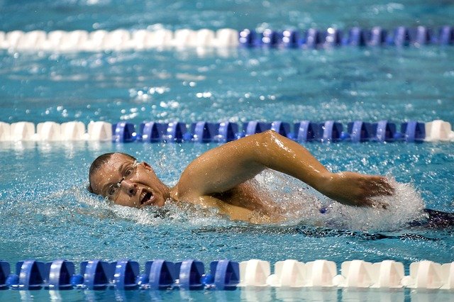 sportovní plavání